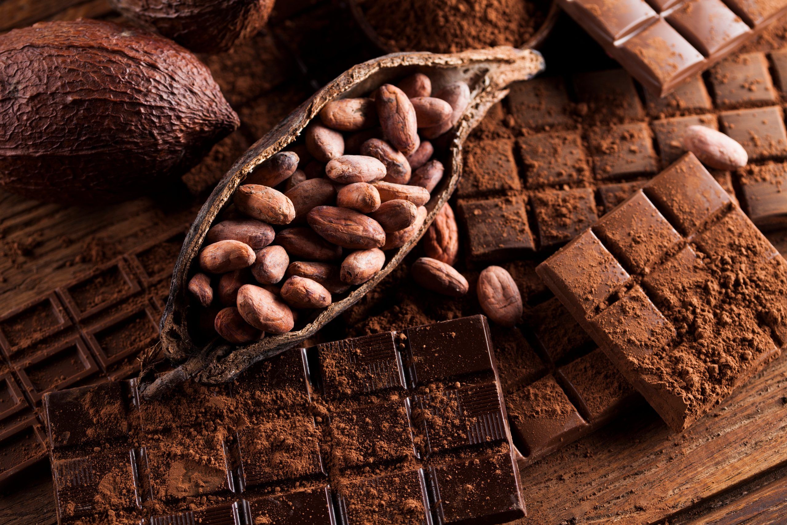 for-the-love-of-chocolate.jpeg For the Love of Chocolate