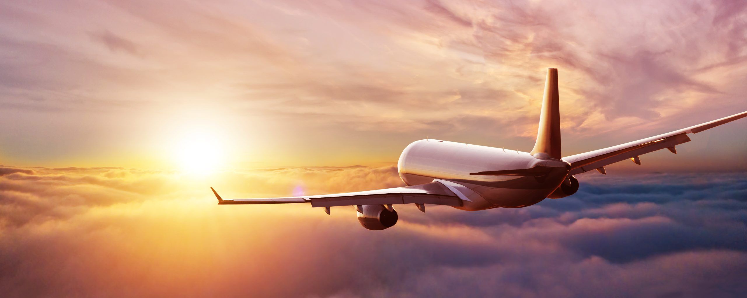 Flying High and Healthy