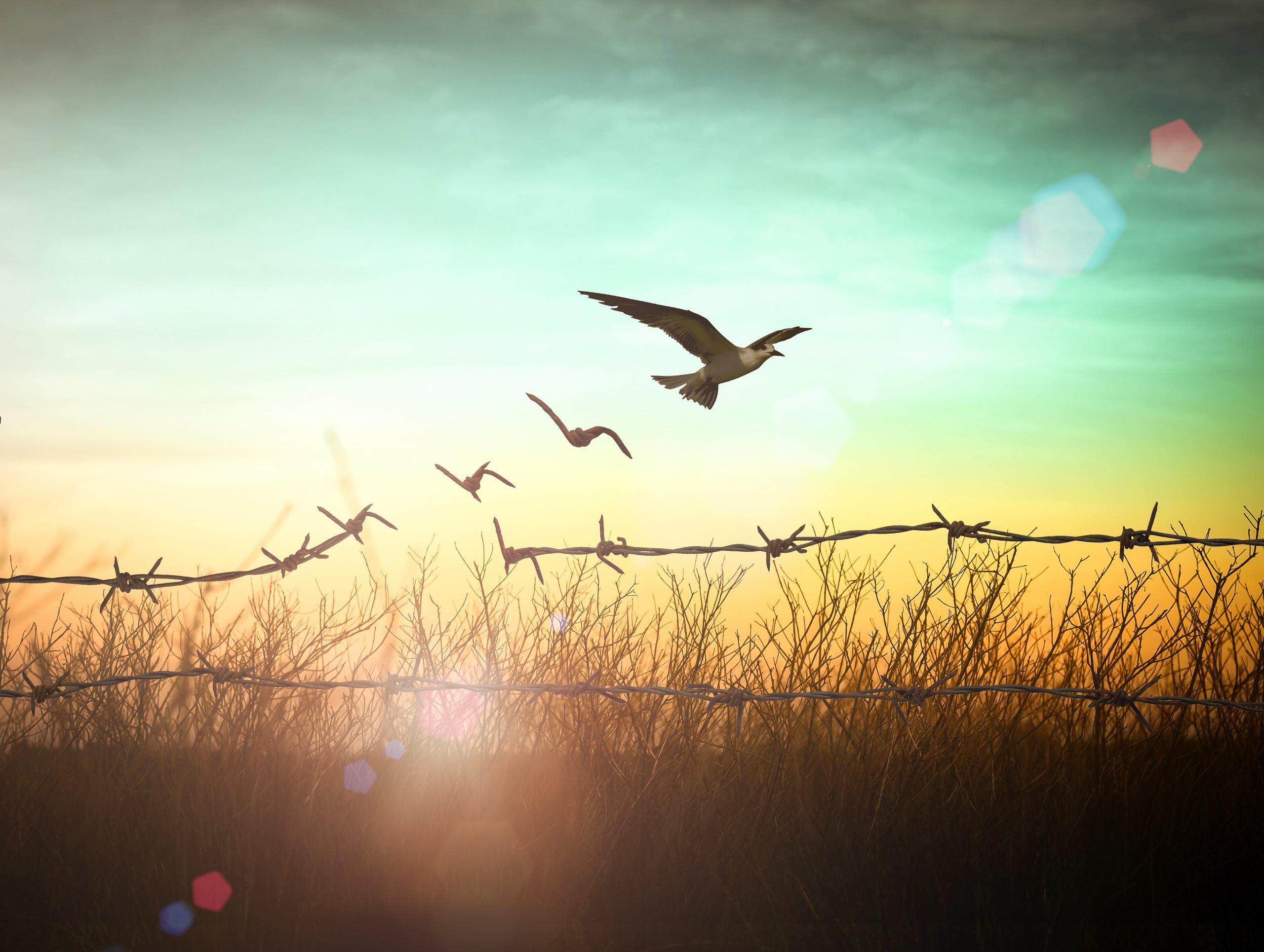 A Call for Courage
